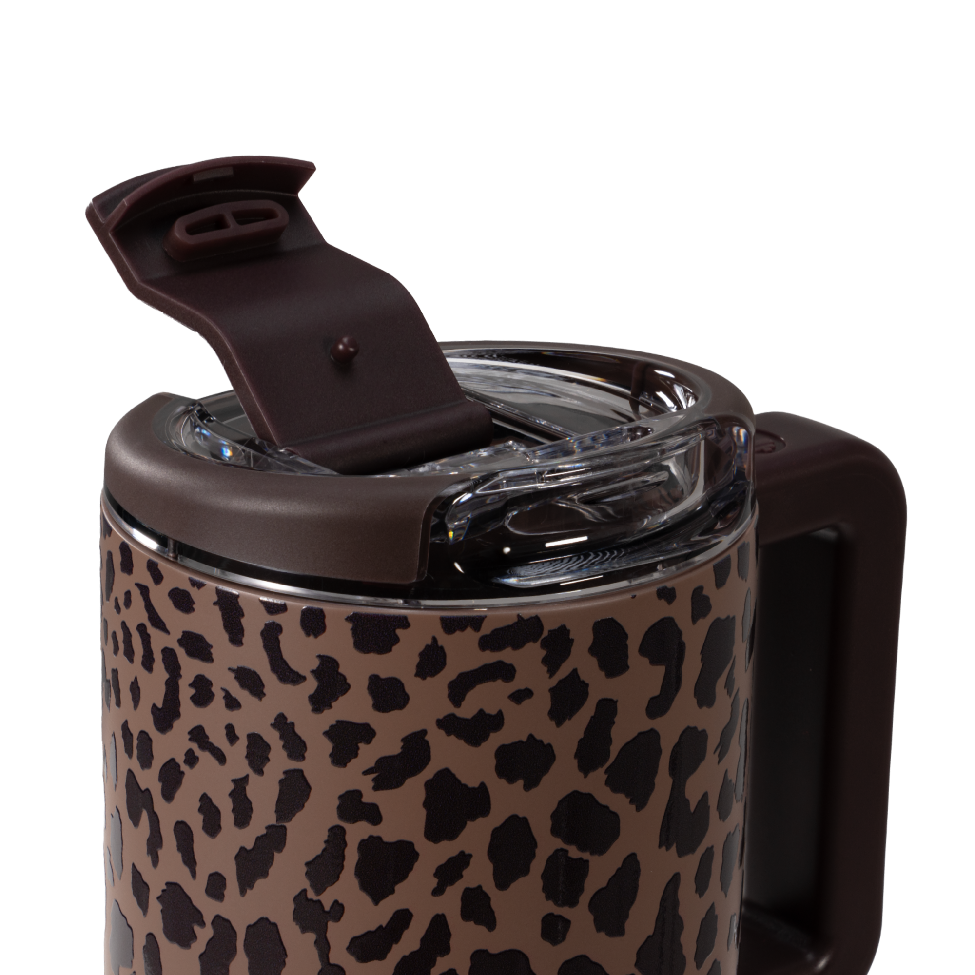 Brown Leopard - Water in Hand