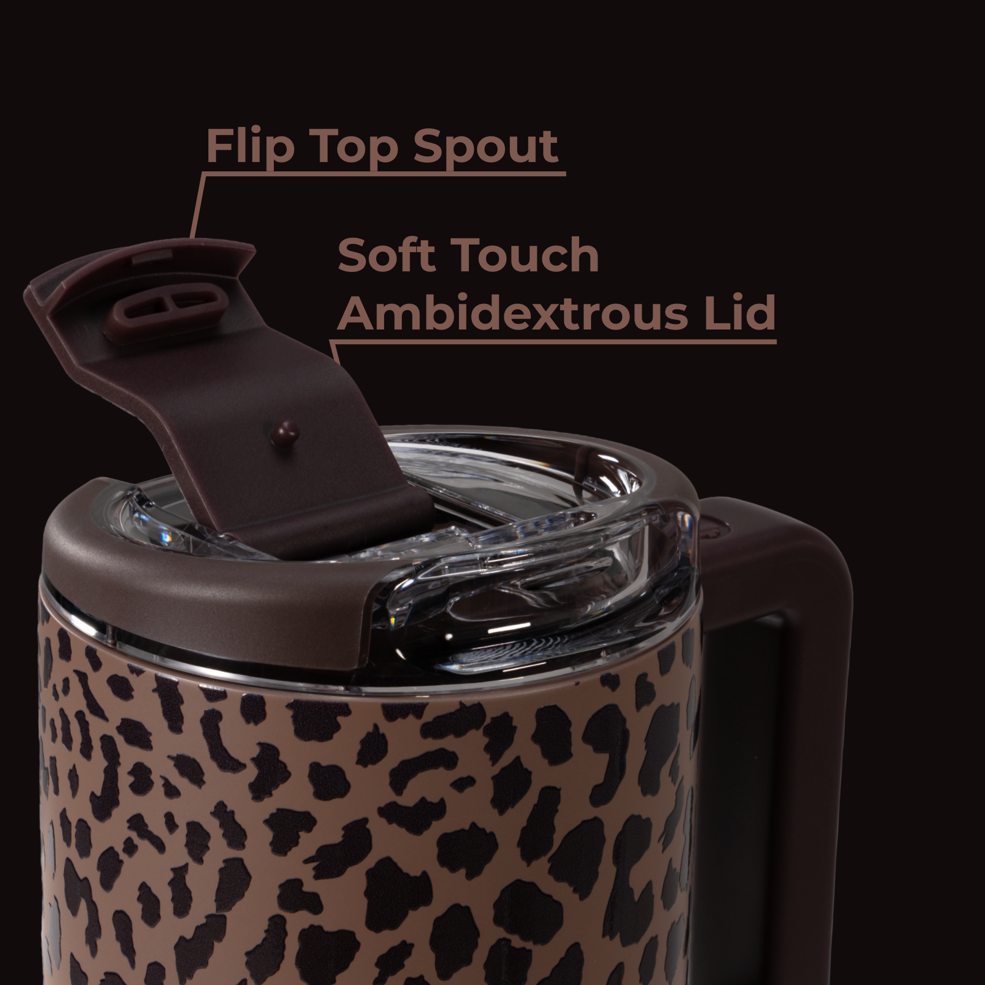 Brown Leopard - Water in Hand