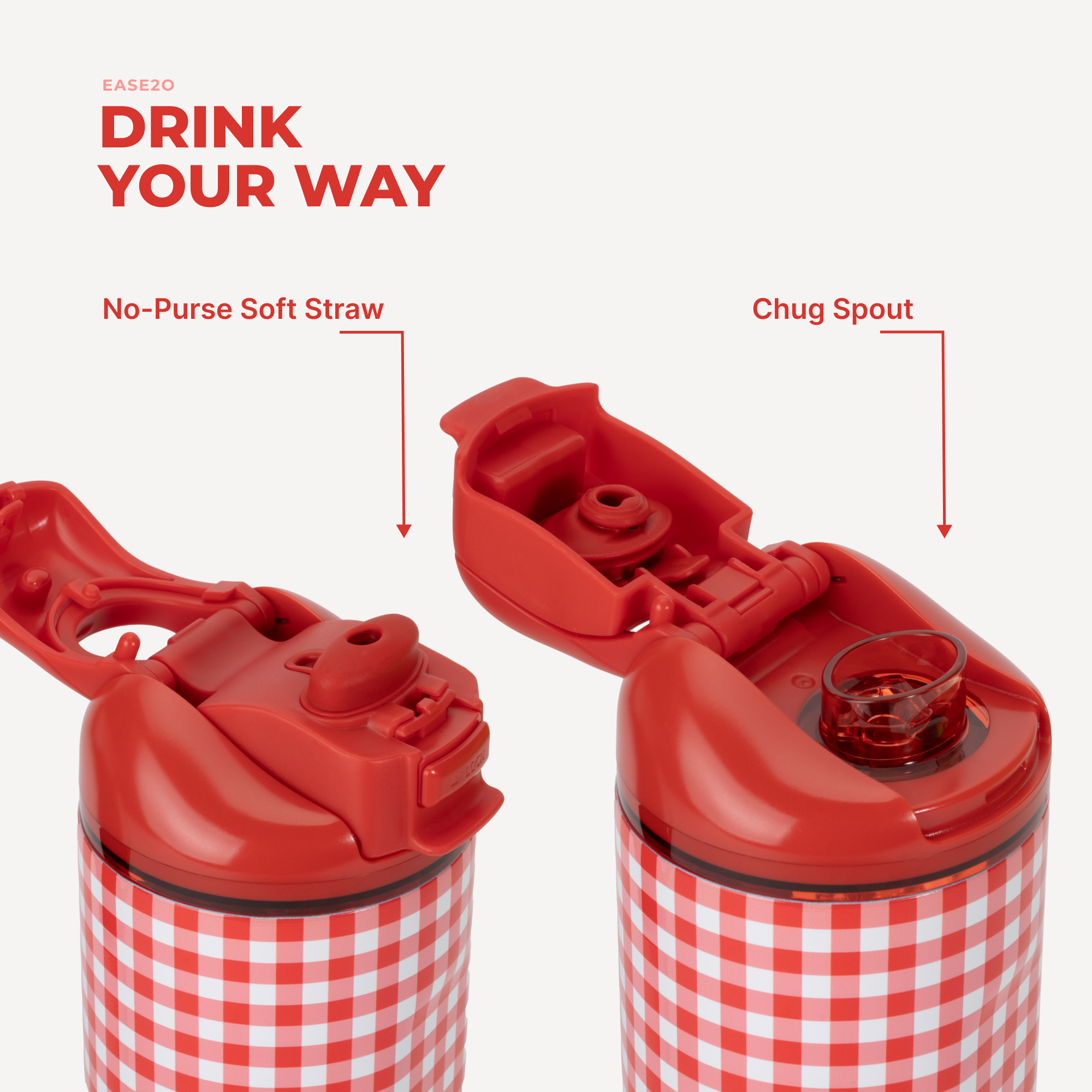 Summer Picnic - Carry Daily