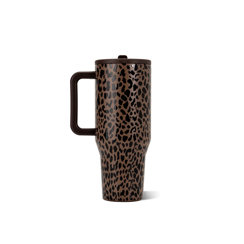 Brown Leopard - Ready for School