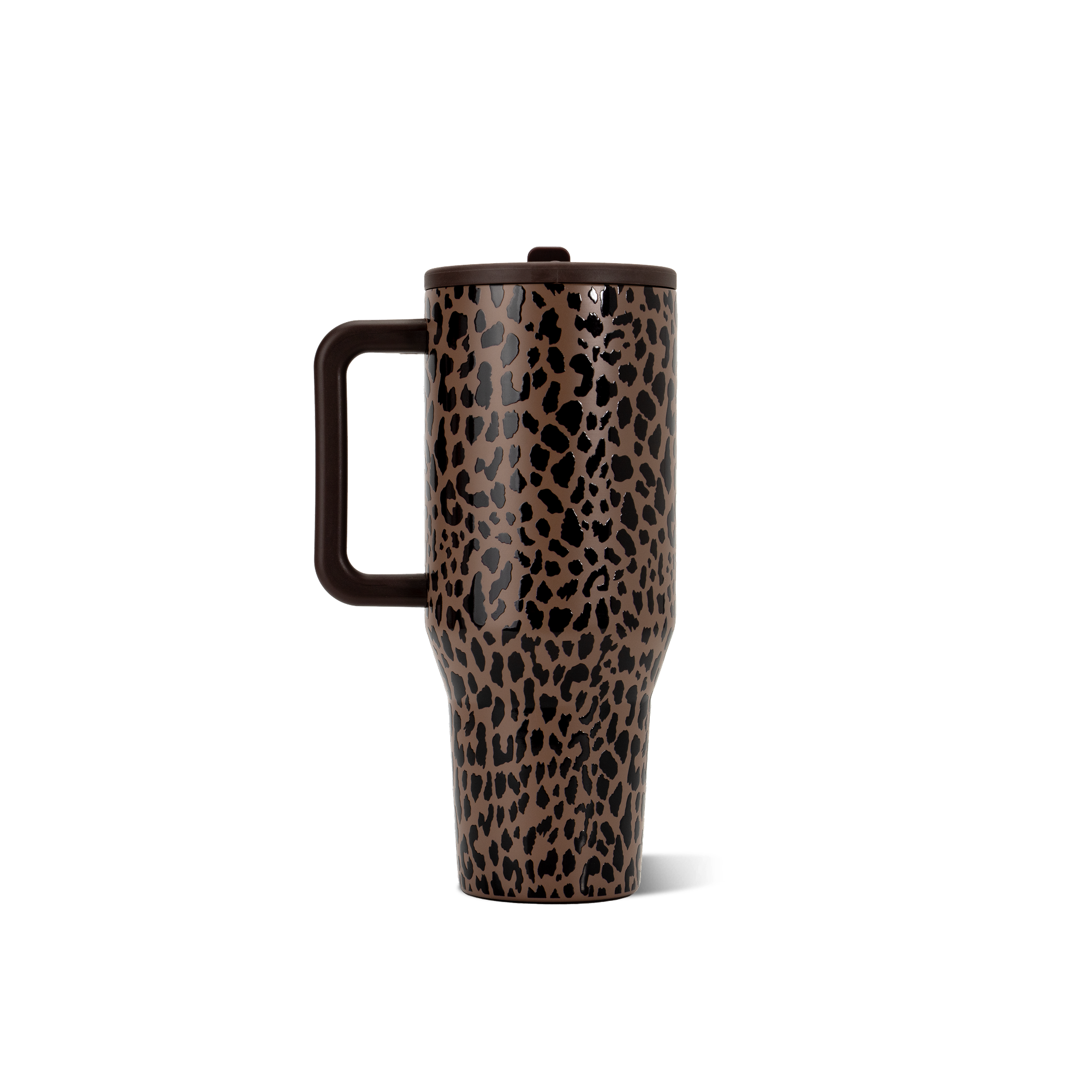 Brown Leopard - Ready for School